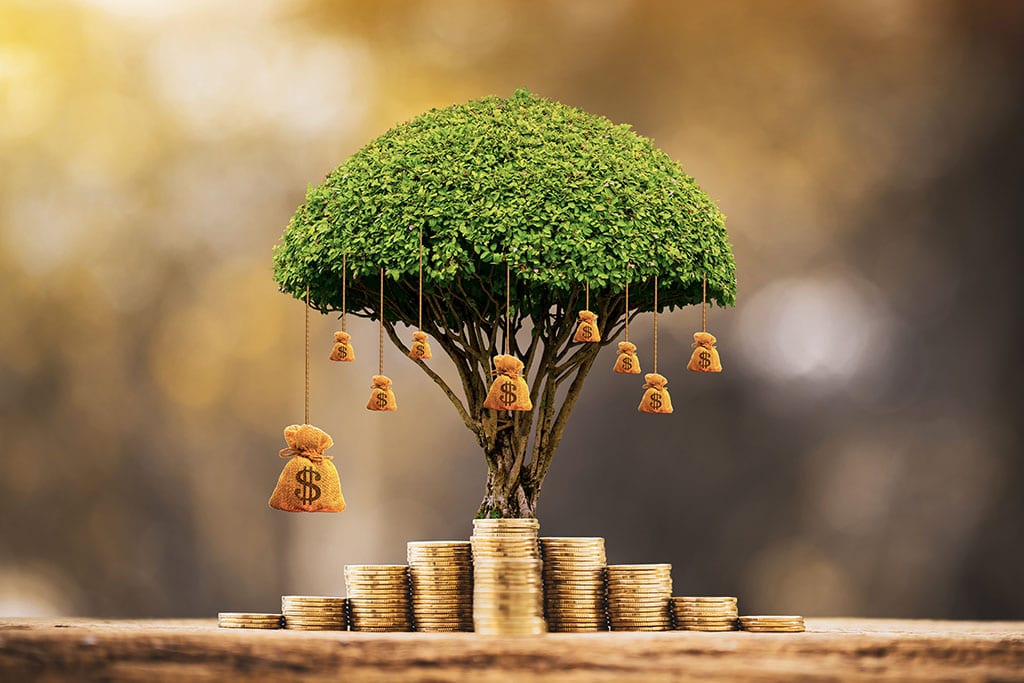 Saving Money Tree